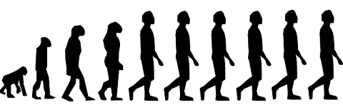 evolution homme